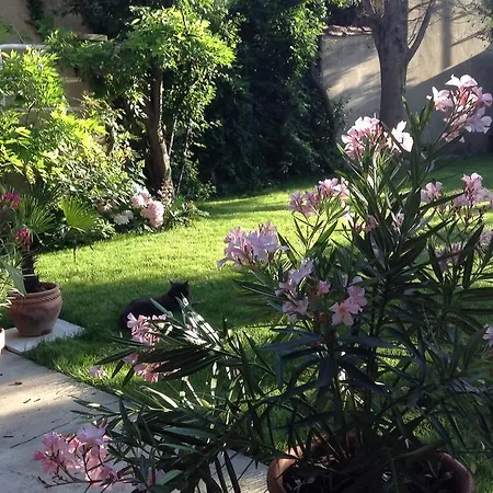 Bed and breakfast Chambres D'hotes Amarilli Toulouse